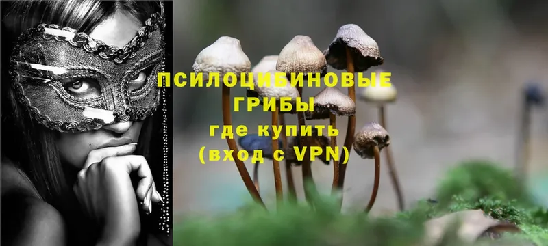 наркошоп  Лихославль  Псилоцибиновые грибы MAGIC MUSHROOMS 